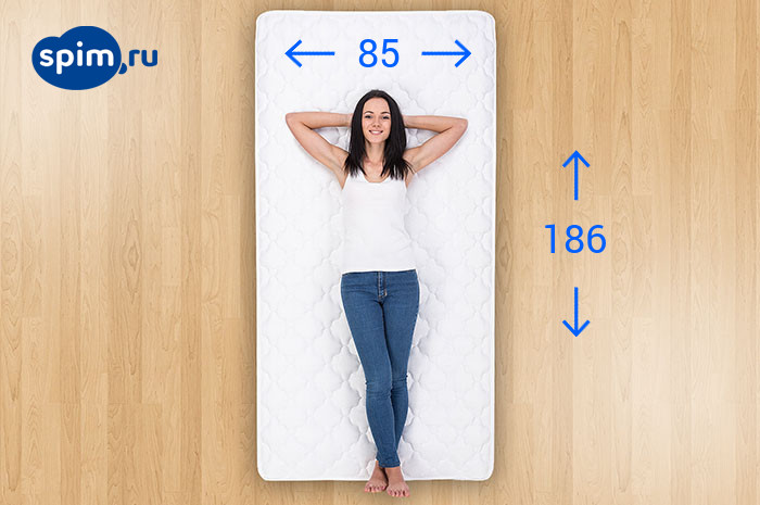 ������� Alitte 85�186 ��